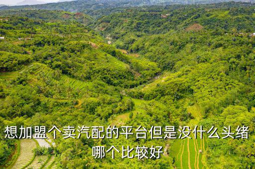 想加盟个卖汽配的平台但是没什么头绪哪个比较好