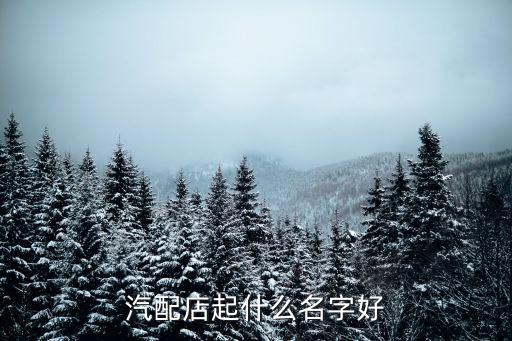 汽配店起什么名字好