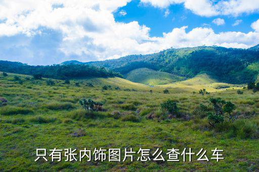 只有张内饰图片怎么查什么车