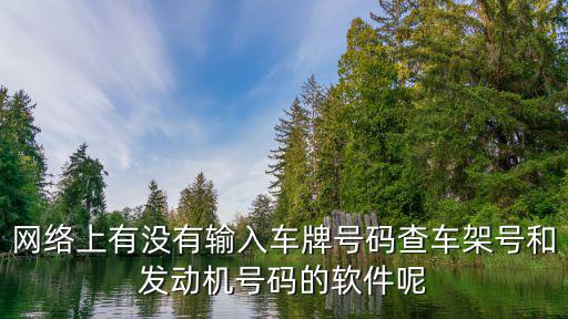 什么软件可以查到车架号所有信息，网络上有没有输入车牌号码查车架号和发动机号码的软件呢