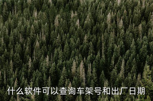 什么软件可以查询车架号和出厂日期