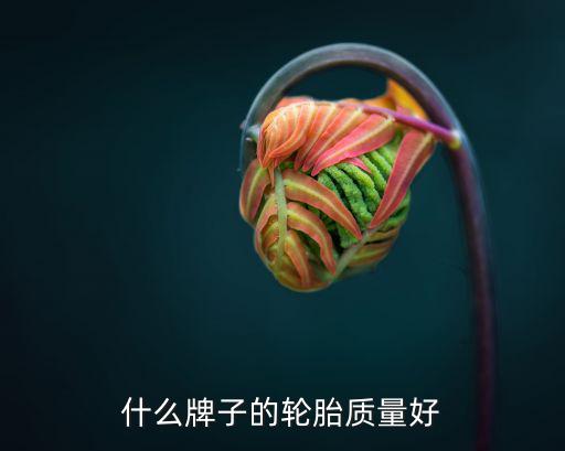 什么牌子的轮胎质量好
