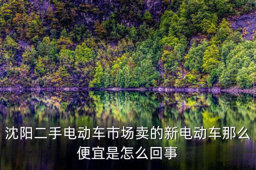 沈阳二手电动车市场卖的新电动车那么便宜是怎么回事