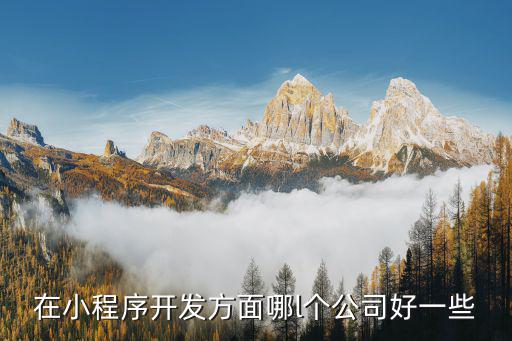 在小程序开发方面哪l个公司好一些