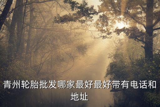 青州轮胎批发哪家最好最好带有电话和地址