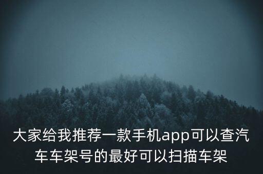 大家给我推荐一款手机app可以查汽车车架号的最好可以扫描车架