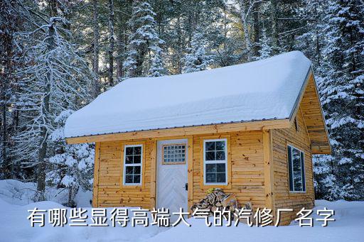 有哪些显得高端大气的汽修厂名字