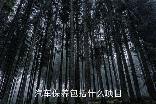 汽车保养包括什么项目