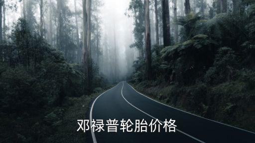 邓禄普轮胎价格