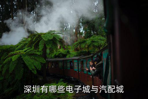 深圳有哪些电子城与汽配城