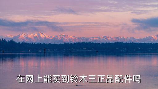 在网上能买到铃木王正品配件吗