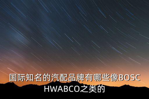 国际知名的汽配品牌有哪些像BOSCHWABCO之类的