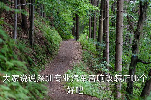 大家说说深圳专业汽车音响改装店哪个好吧