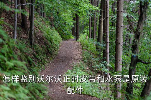沃尔沃配件真伪查询，如何鉴别汽车配件的真假
