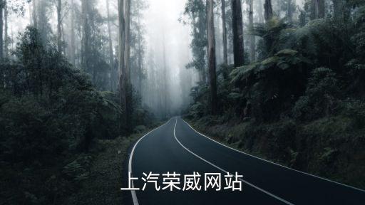 上汽荣威网站