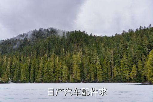 日产汽车配件求