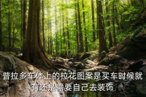 普拉多车体上的拉花图案是买车时候就有还是需要自己去装饰