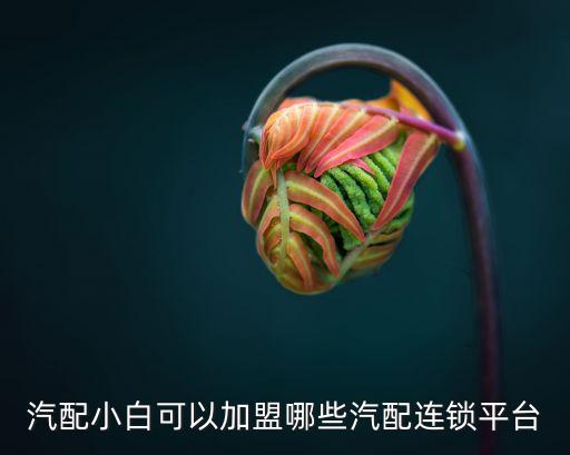 汽配小白可以加盟哪些汽配连锁平台