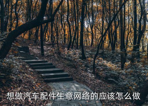 想做汽车配件生意网络的应该怎么做