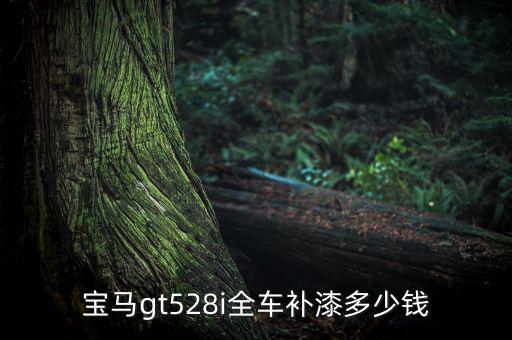 宝马gt528i全车补漆多少钱