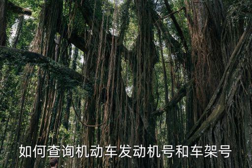 如何查询机动车发动机号和车架号