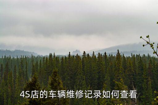 4S店的车辆维修记录如何查看