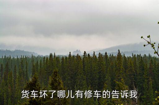 货车坏了哪儿有修车的告诉我
