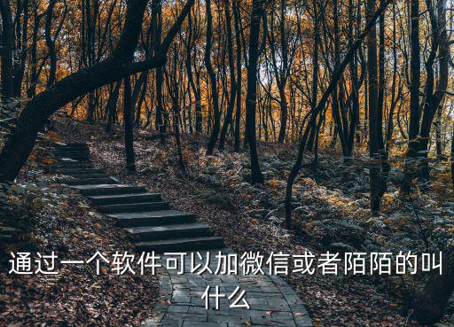 通过一个软件可以加微信或者陌陌的叫什么