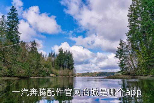 一汽奔腾官网商城配件，一汽奔腾