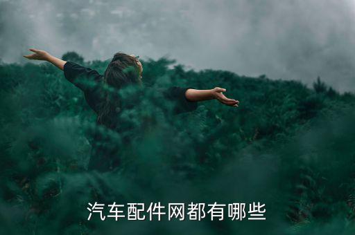 汽车配件网都有哪些
