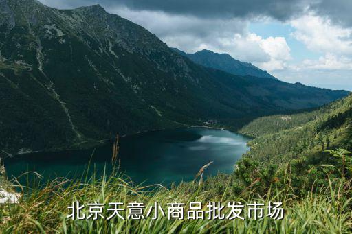 北京天意小商品批发市场