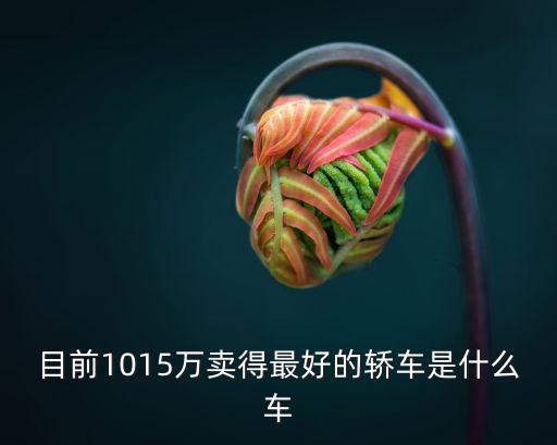 目前1015万卖得最好的轿车是什么车