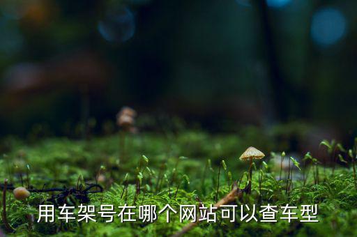 用车架号在哪个网站可以查车型