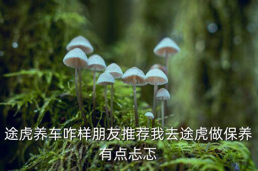途虎养车咋样朋友推荐我去途虎做保养有点忐忑