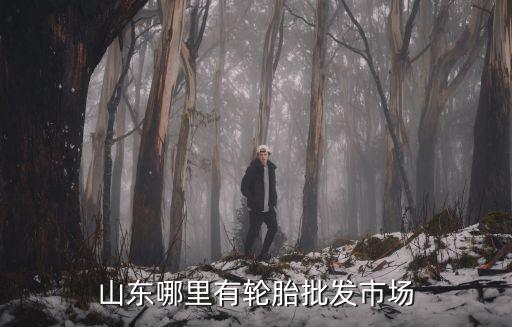 山东哪里有轮胎批发市场