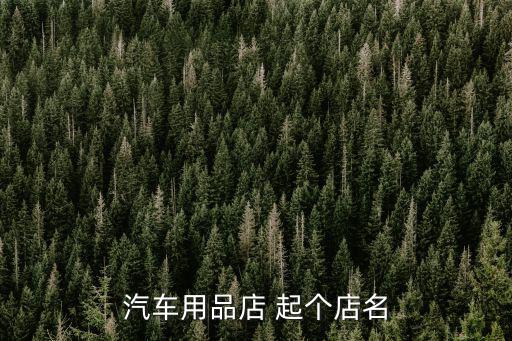 汽车用品店名称大全，汽车用品店 起个店名