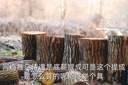 网络推广待遇是底薪提成可是这个提成是怎么算的呢能够举个具