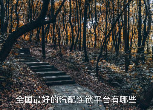 汽车配件电商平台排行榜前十名，哪家汽配垂直电商好