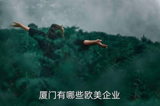 厦门有哪些欧美企业