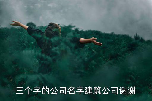三个字的公司名字建筑公司谢谢