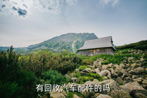 有回收汽车配件的吗