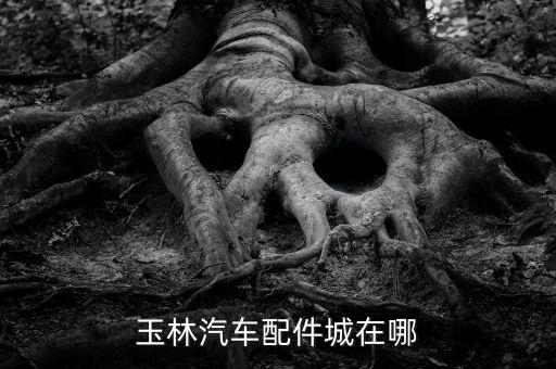 玉林汽车配件城在哪