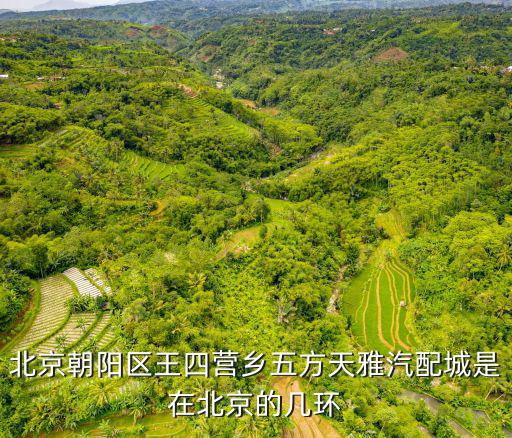 北京朝阳区王四营乡五方天雅汽配城是在北京的几环