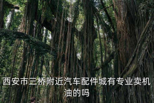 西安市三桥附近汽车配件城有专业卖机油的吗