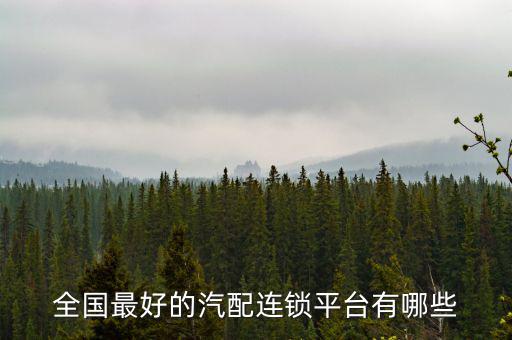 全国最好的汽配连锁平台有哪些