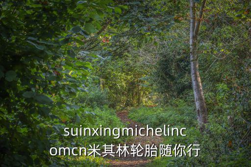 suinxingmichelincomcn米其林轮胎随你行