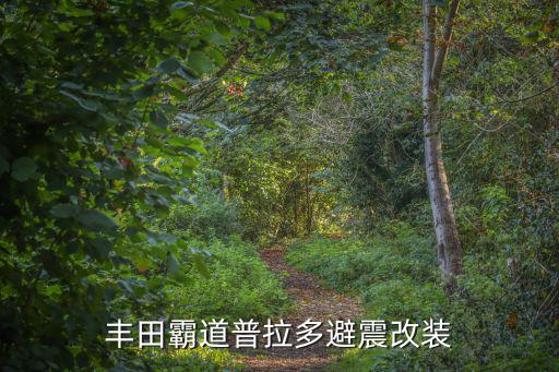 丰田霸道普拉多避震改装