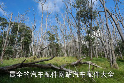 最全的汽车配件网站汽车配件大全