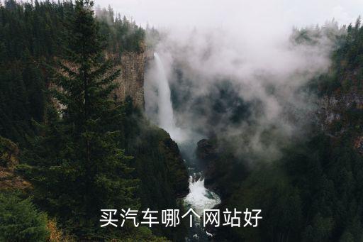 买汽车哪个网站好