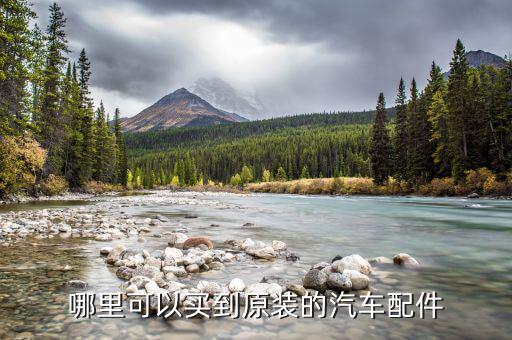 哪里可以买到原装的汽车配件